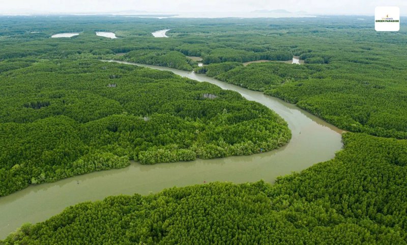 image-can-gio-tiem-nang-thanh-vung-loi-bds-ve-tinh-tp-hcm-30