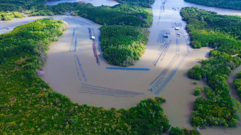 image-vinhomes-green-paradise-kham-pha-mo-hinh-phat-trien-ben-vung-tai-di-san-unesco-10