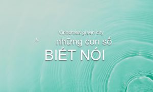 File dao tao chinh sach VGC page 0003