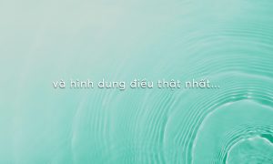 File dao tao chinh sach VGC page 0011