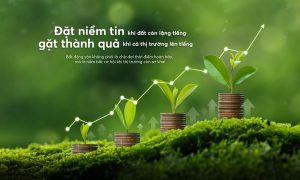 File dao tao chinh sach VGC page 0032